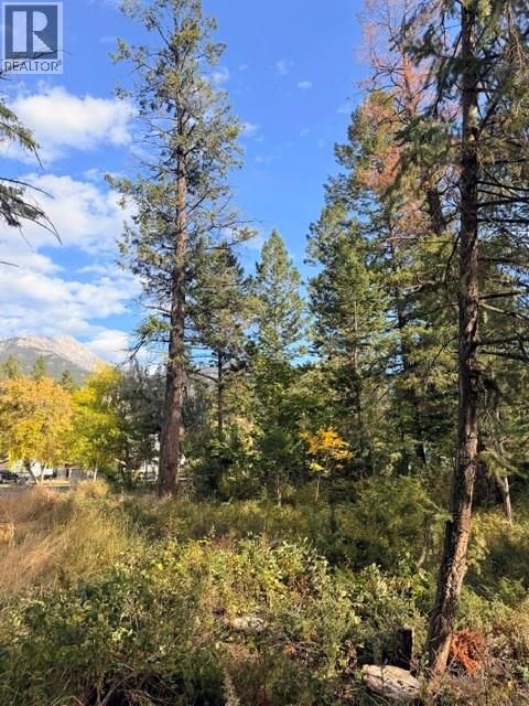 4534 Columbia View Road Lot# A, Fairmont Hot Springs