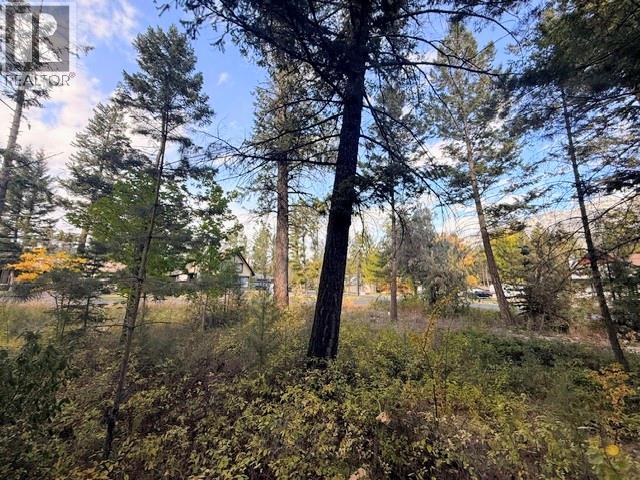 4534 Columbia View Road Lot# A, Fairmont Hot Springs