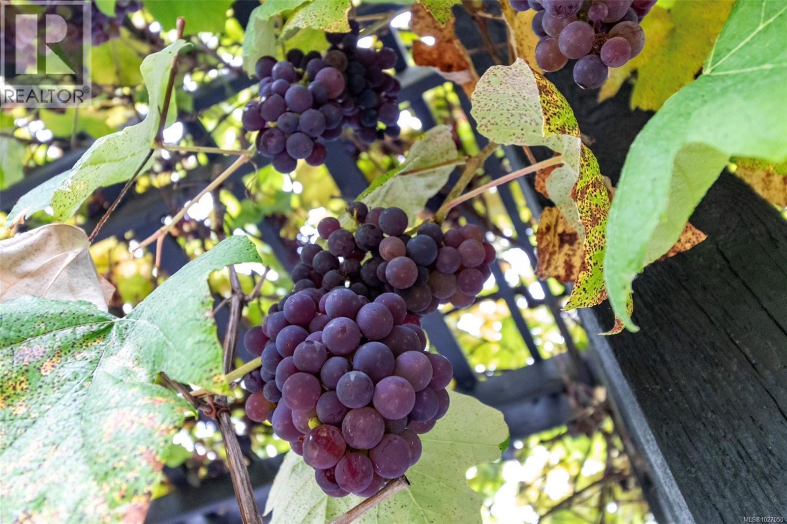 985 Malaspina Cres, Nanaimo