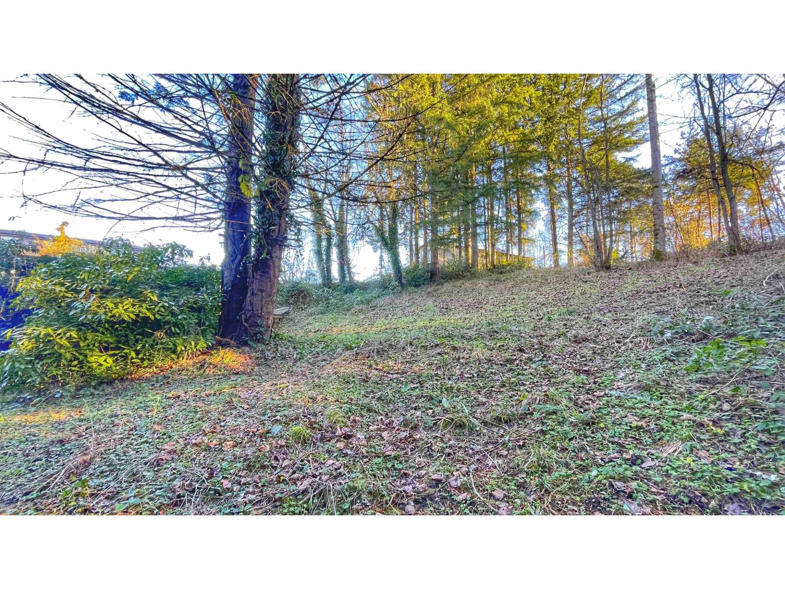 32492 CHERRY AVENUE, Mission