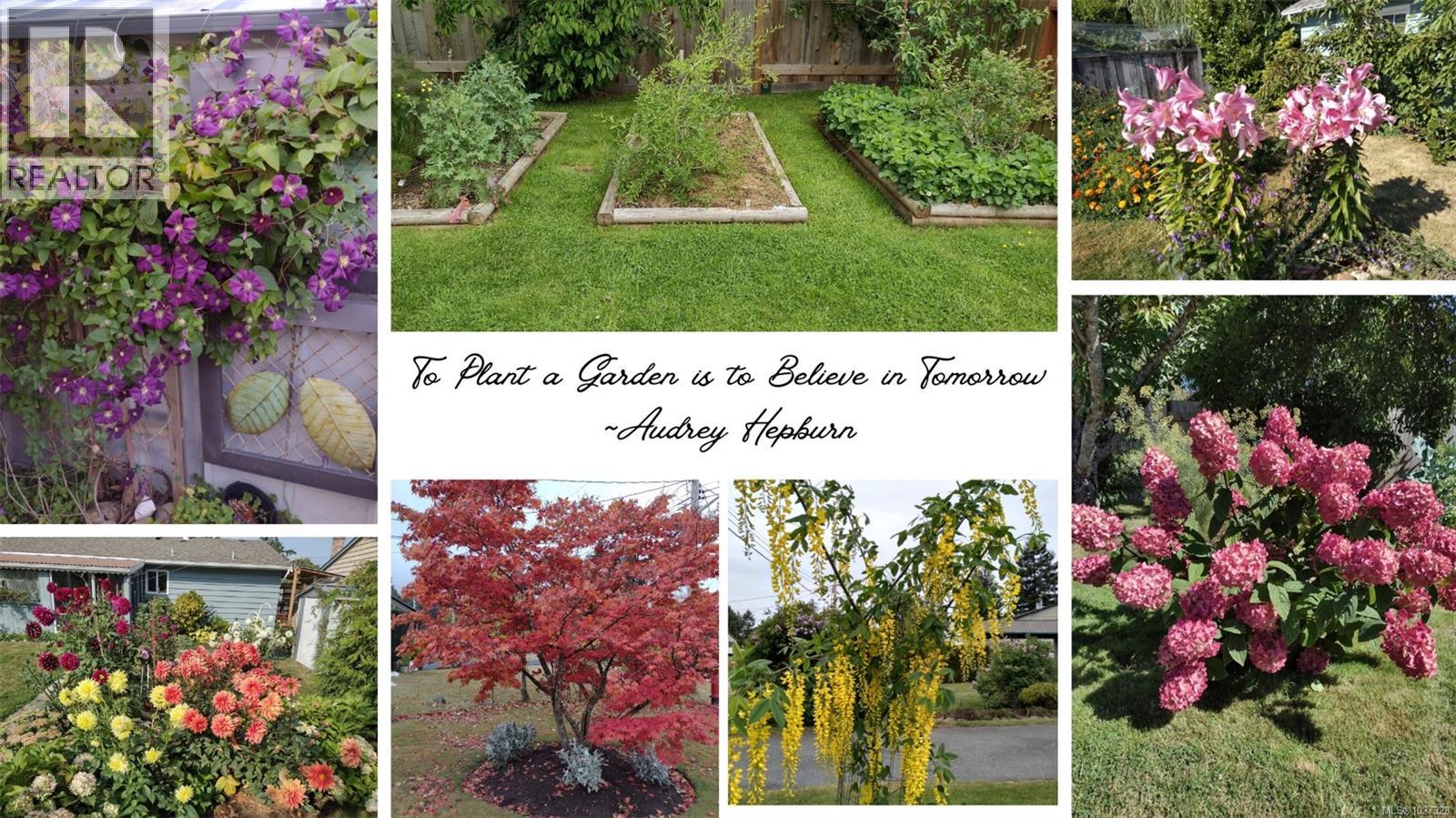 230 Evergreen St, Parksville