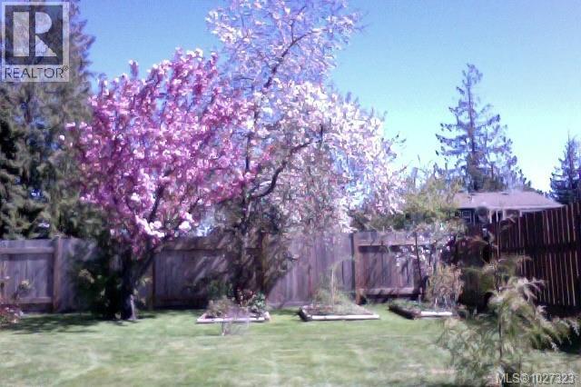 230 Evergreen St, Parksville