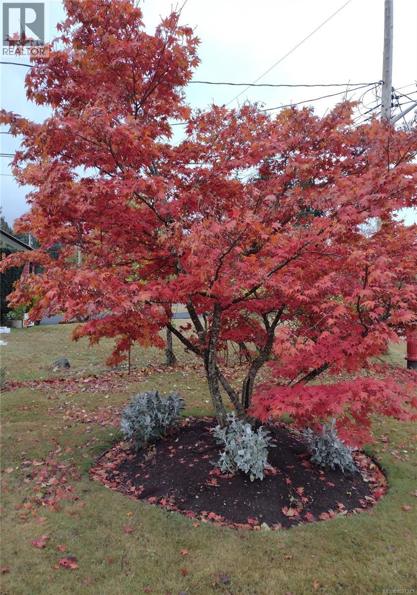 230 Evergreen St, Parksville