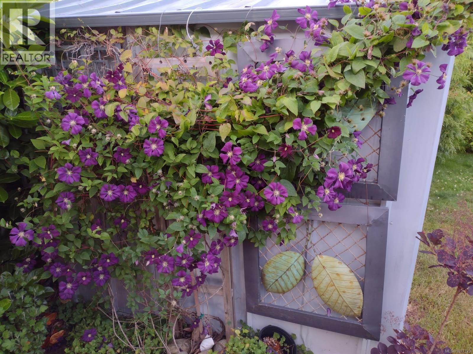 230 Evergreen St, Parksville