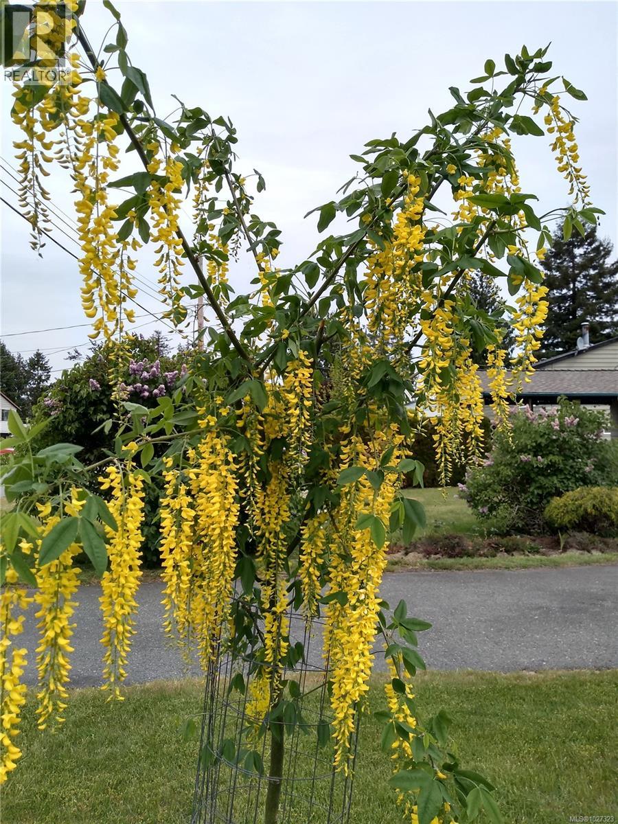 230 Evergreen St, Parksville