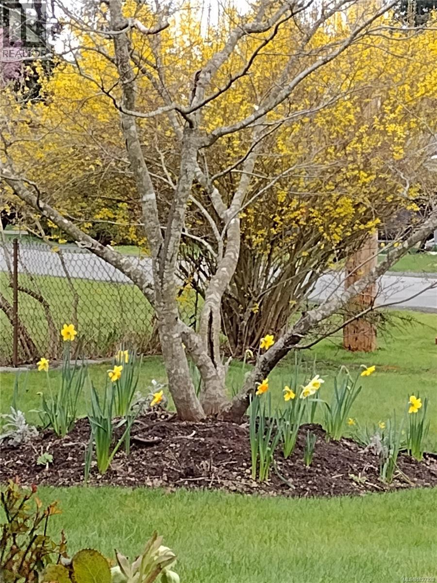 230 Evergreen St, Parksville