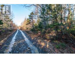 Lot 1 Porter Road, Mayflower, NS B0W2Y0 Photo 6