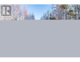Lot 1 Porter Road, Mayflower, NS B0W2Y0 Photo 9