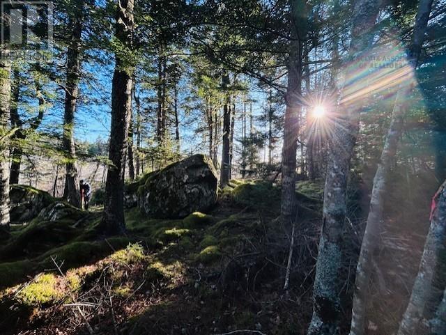 Property 45 of 47 of 351 Narrows Road, 351 Narrow Road