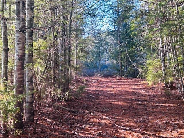 Property 42 of 44 of 351 Narrows Road, 351 Narrow Road