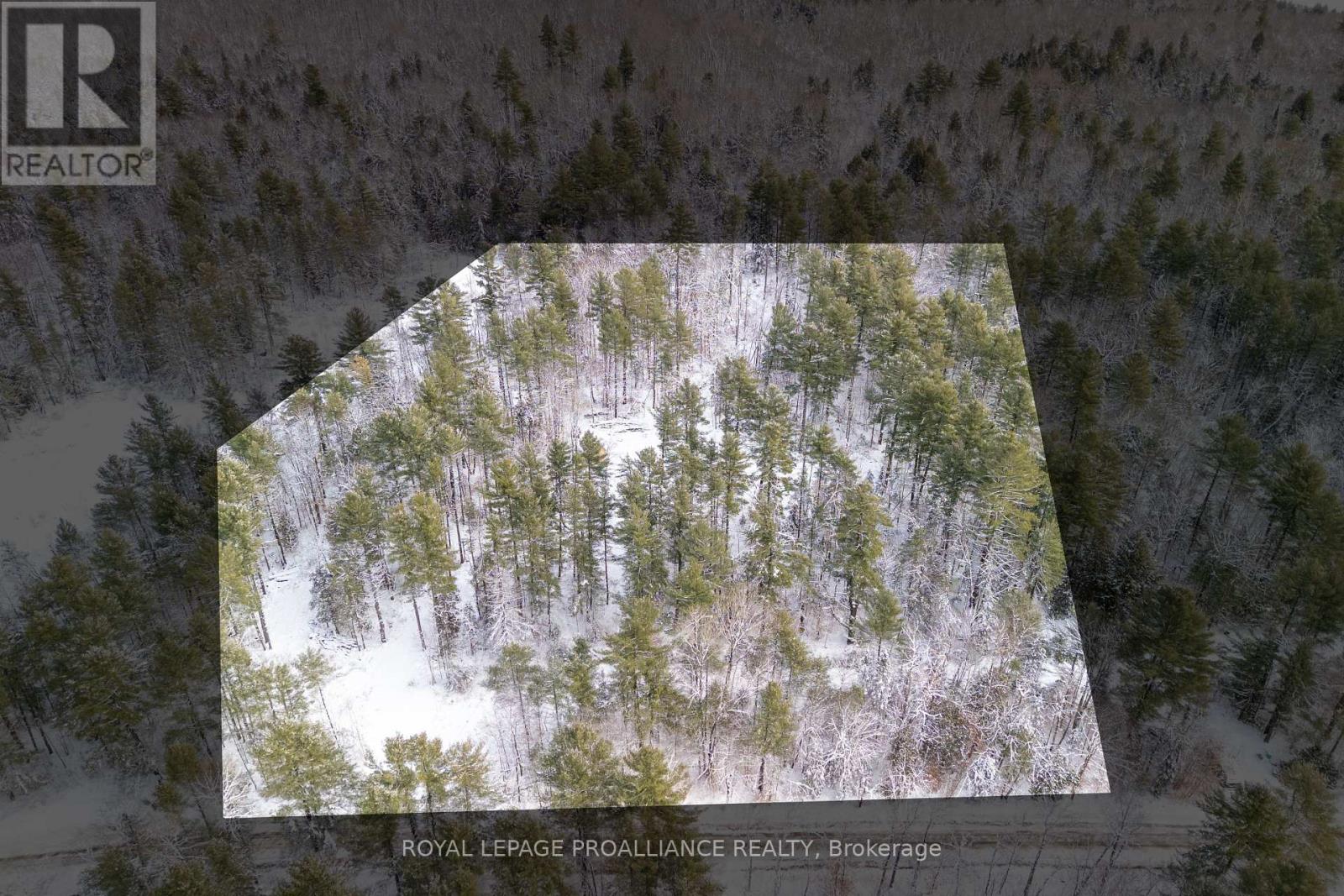 265 ADDINGTON ROAD 4