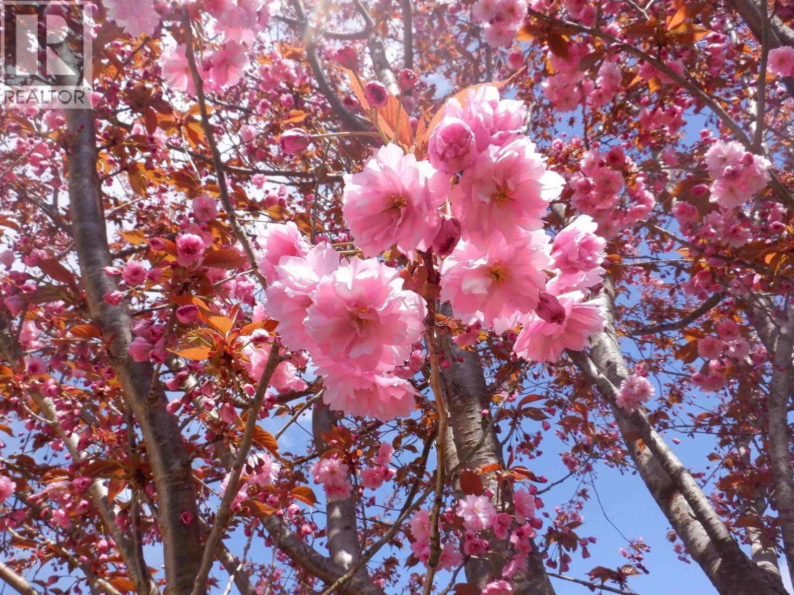 39070 KINGFISHER ROAD, Squamish