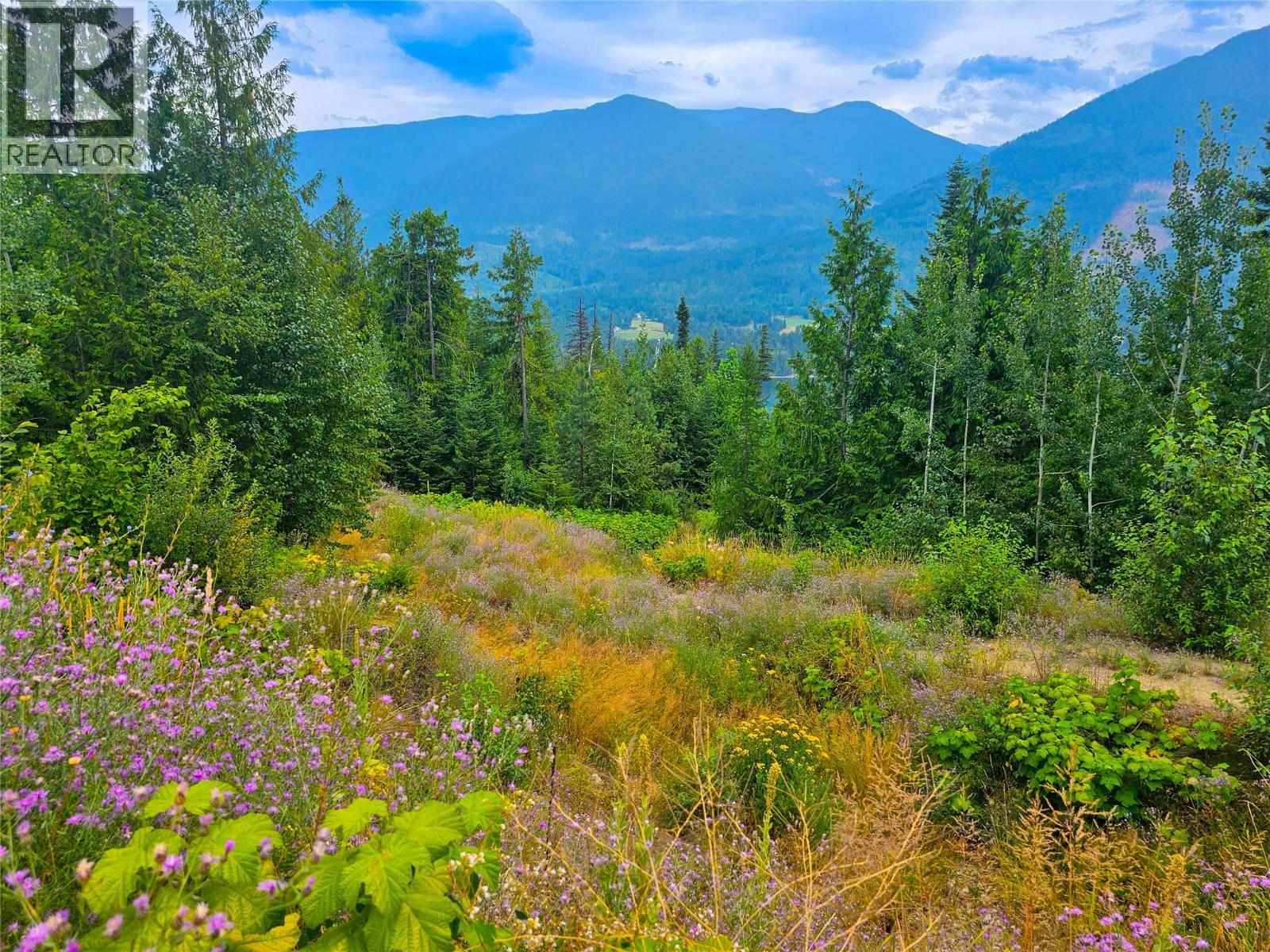 421 MOUNTAIN VIEW Drive, Balfour