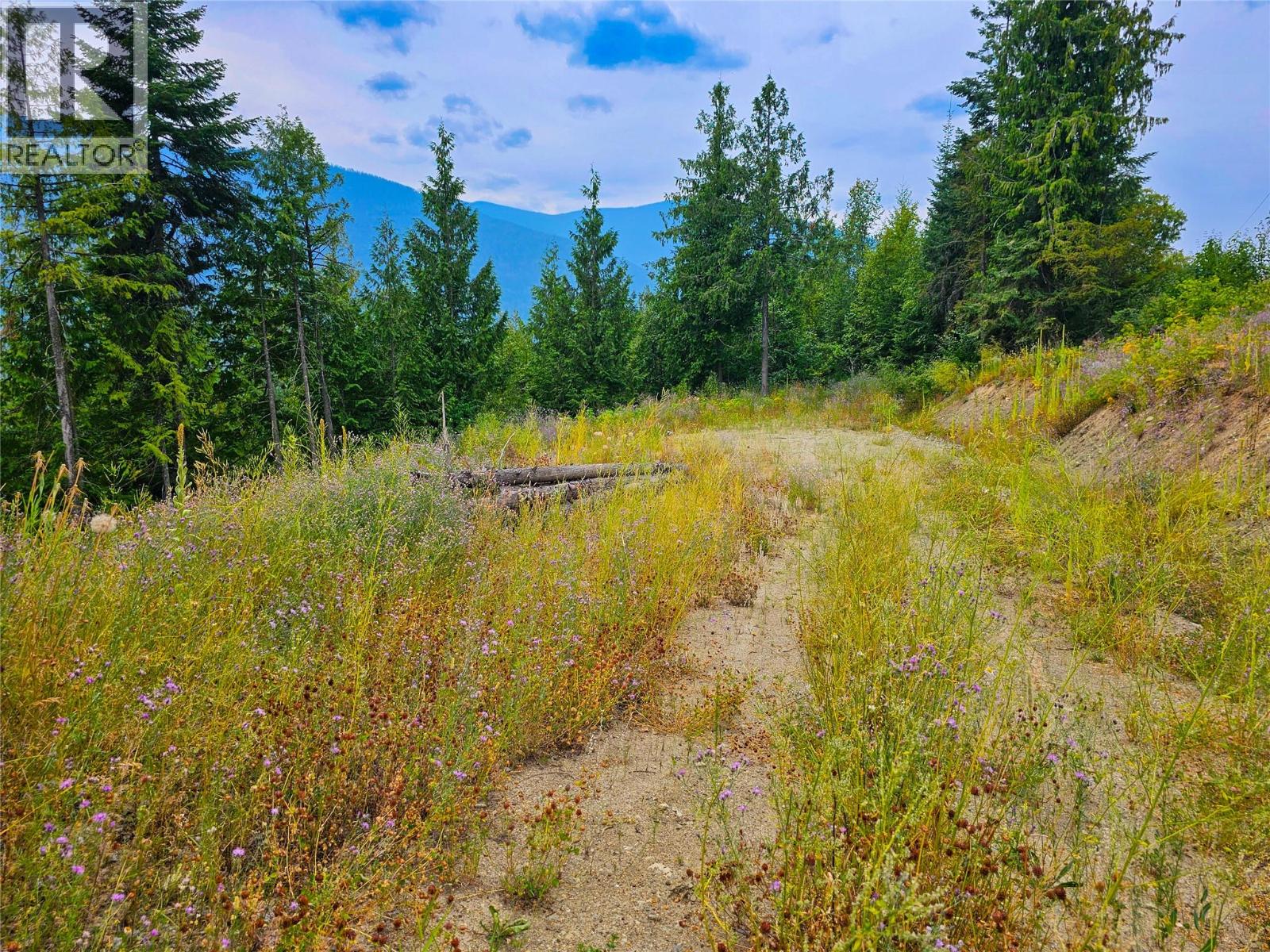 421 MOUNTAIN VIEW Drive, Balfour