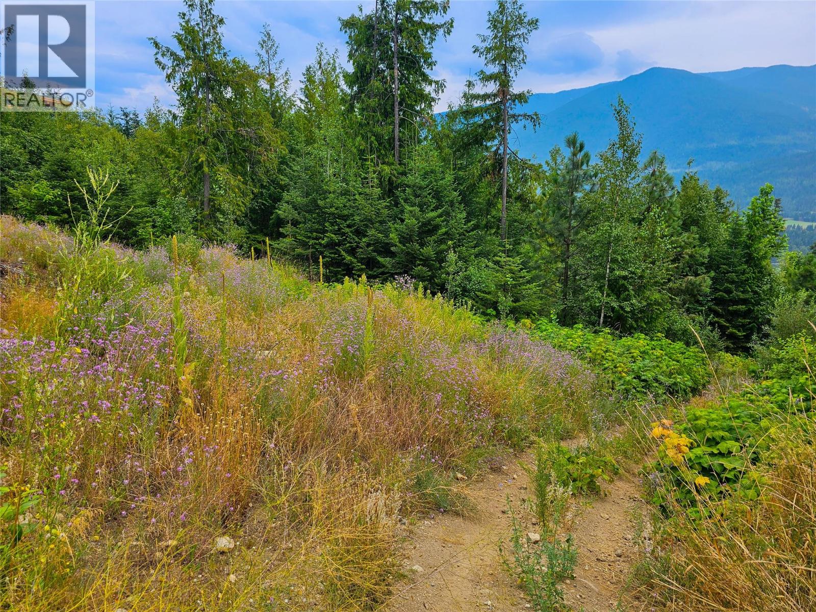 421 MOUNTAIN VIEW Drive, Balfour