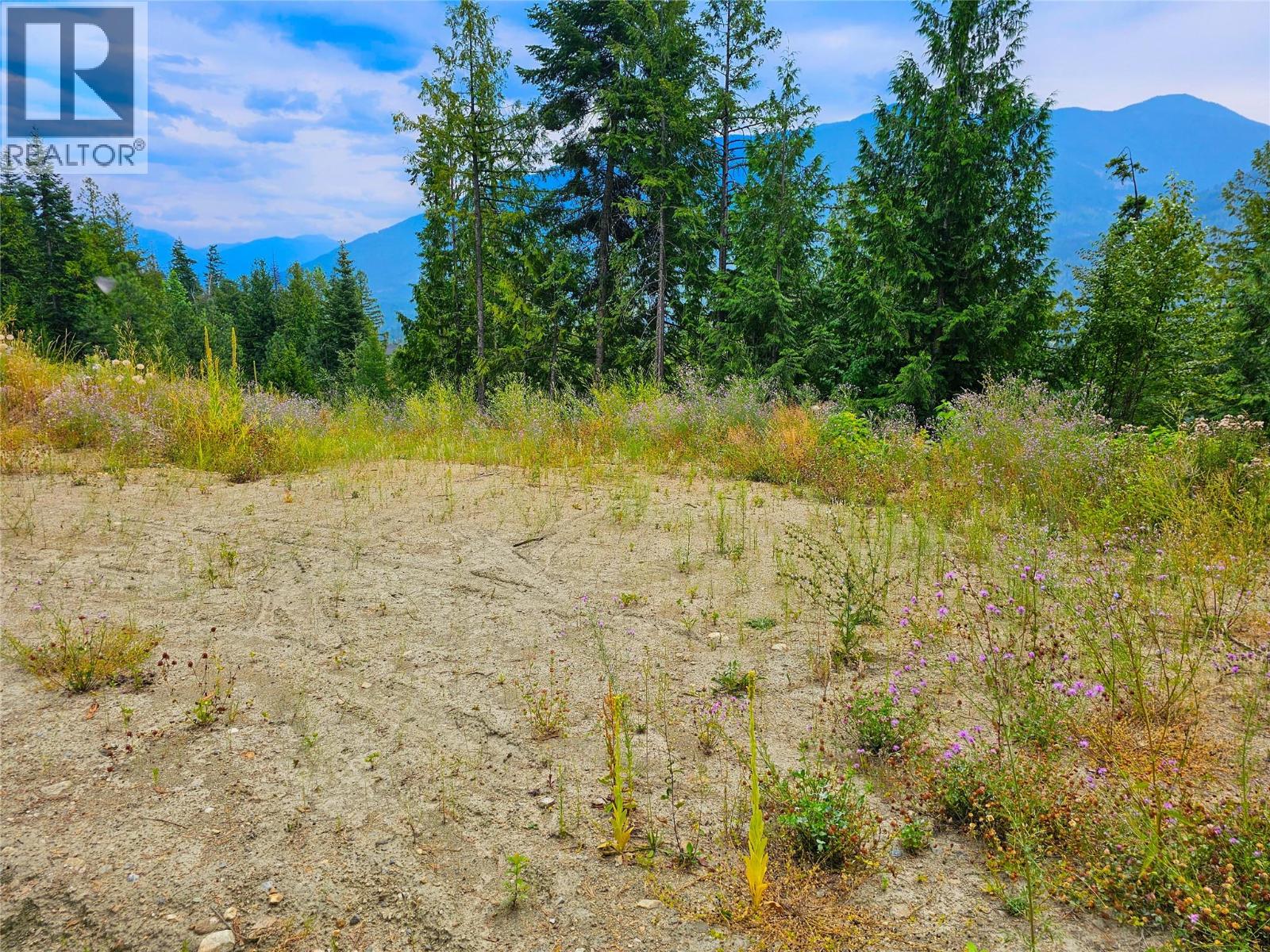 421 MOUNTAIN VIEW Drive, Balfour