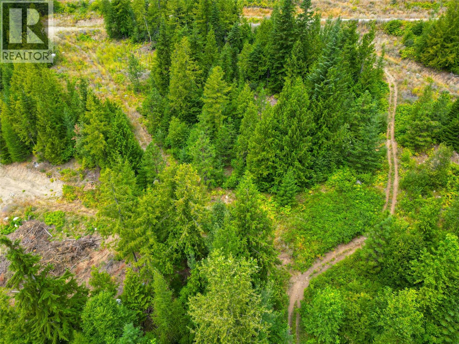 421 MOUNTAIN VIEW Drive, Balfour