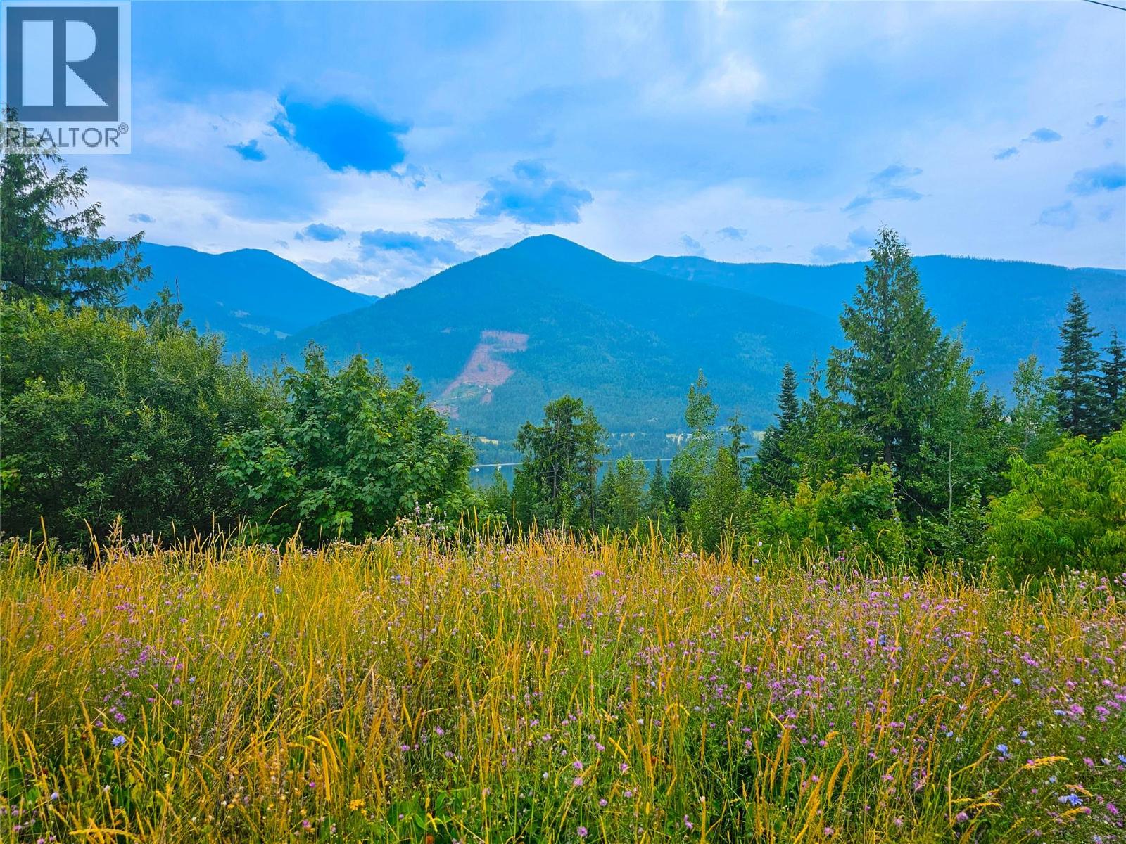 421 MOUNTAIN VIEW Drive, Balfour