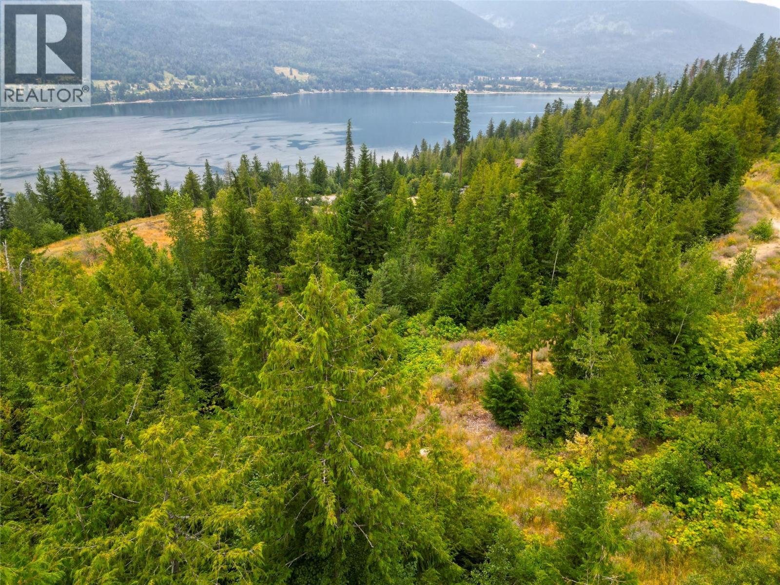 421 MOUNTAIN VIEW Drive, Balfour