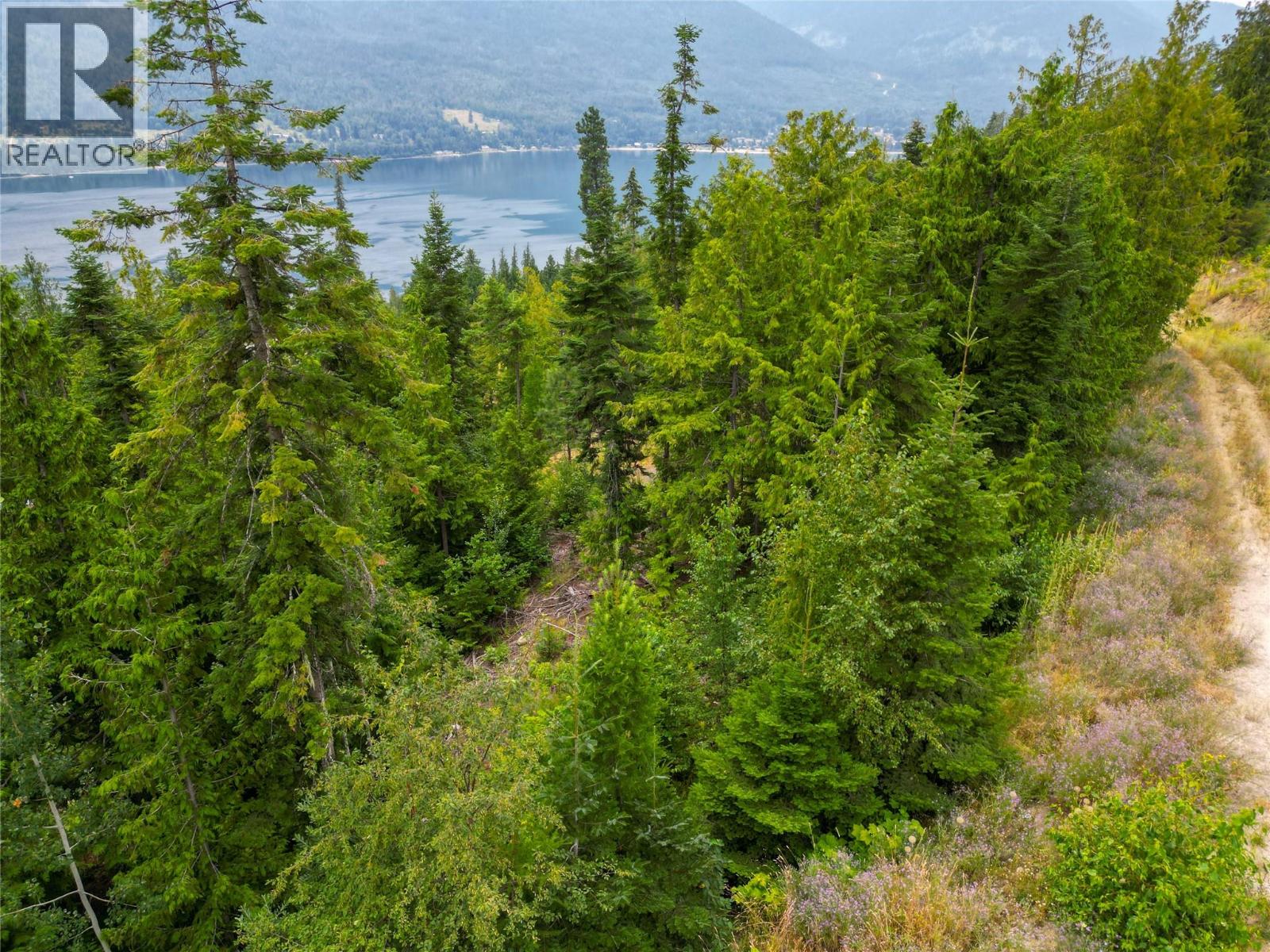 421 MOUNTAIN VIEW Drive, Balfour