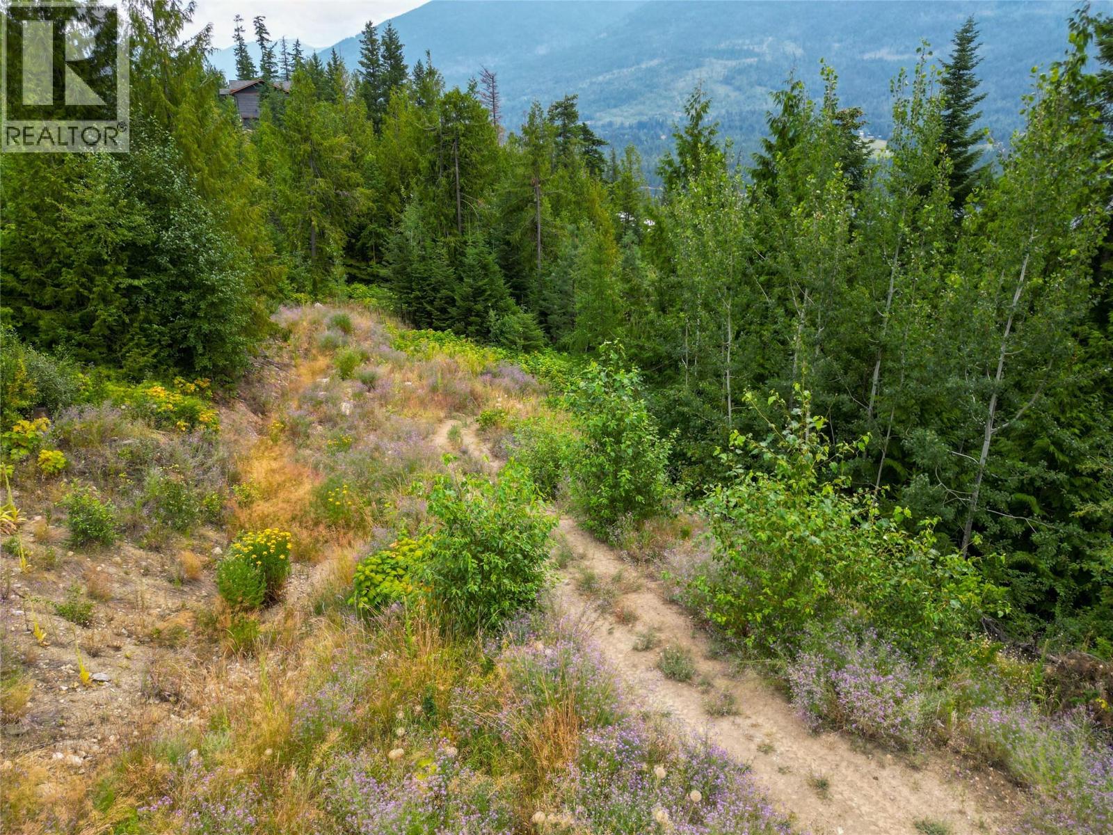 421 MOUNTAIN VIEW Drive, Balfour