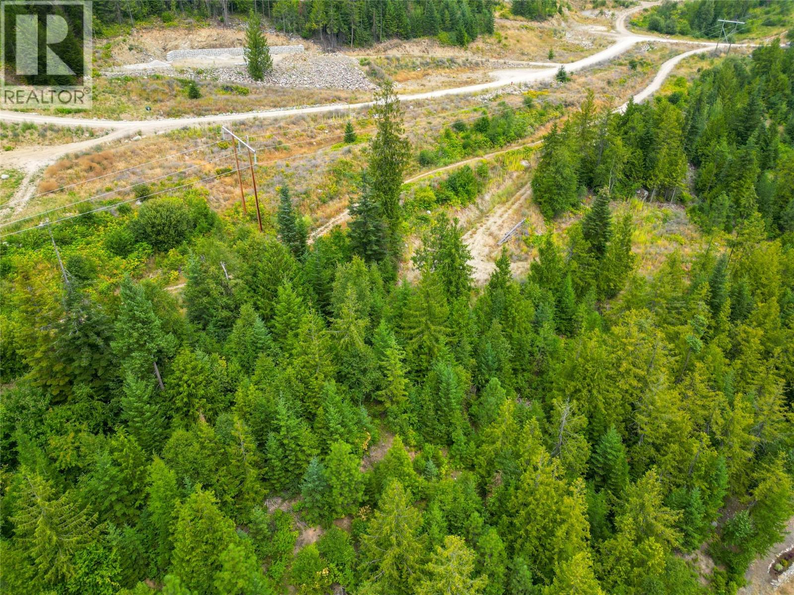 421 MOUNTAIN VIEW Drive, Balfour