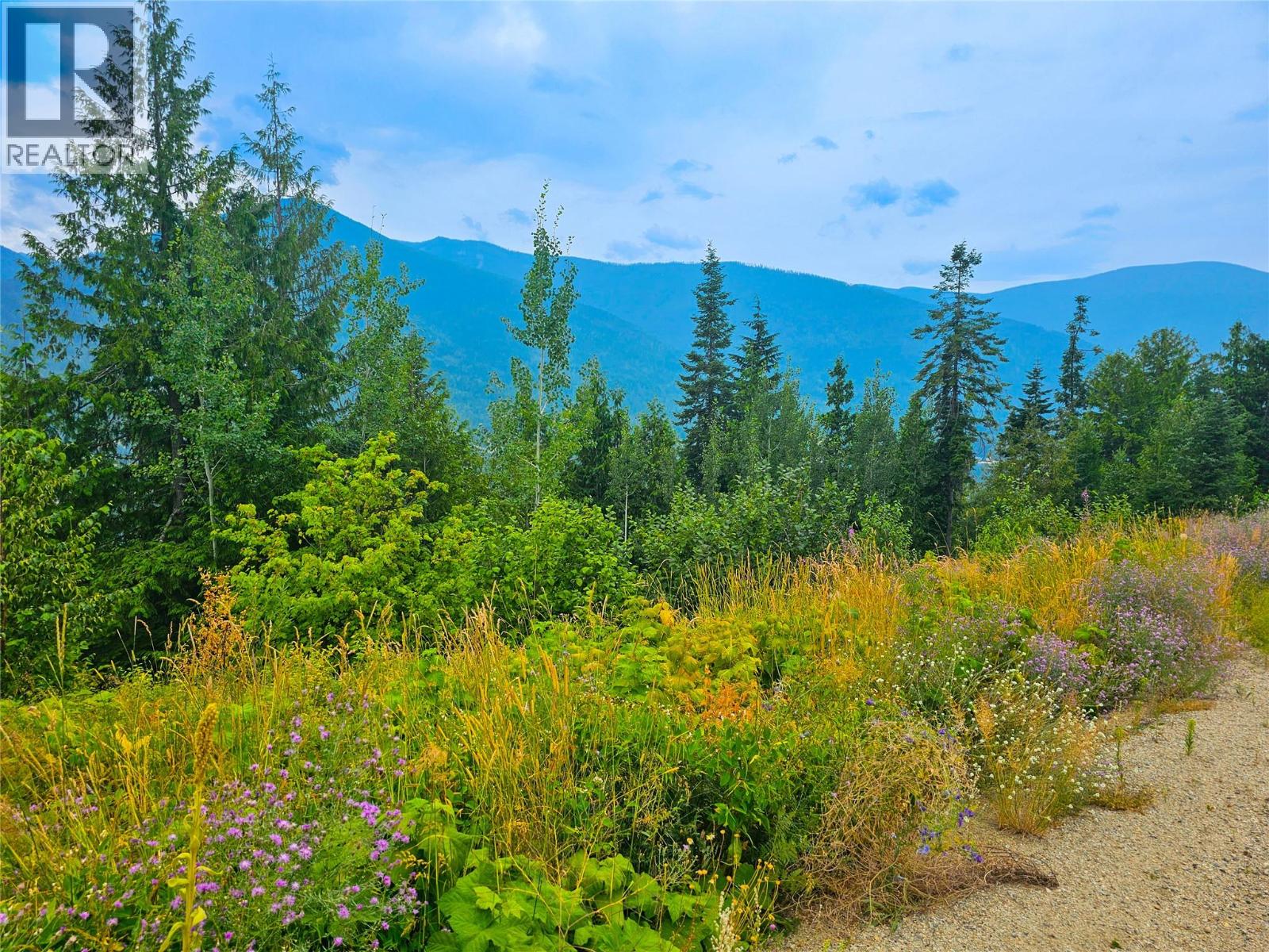 421 MOUNTAIN VIEW Drive, Balfour