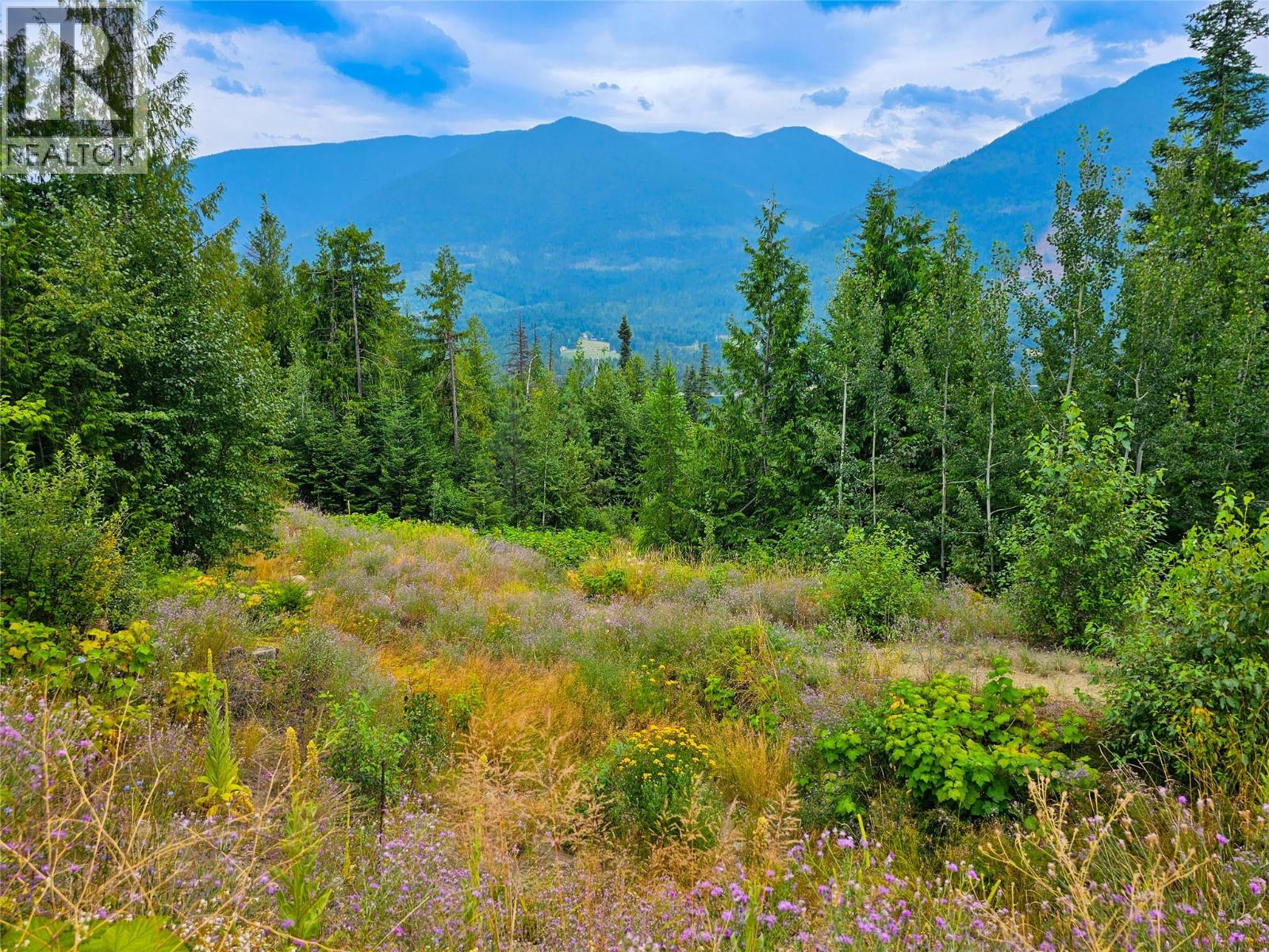 421 MOUNTAIN VIEW Drive, Balfour