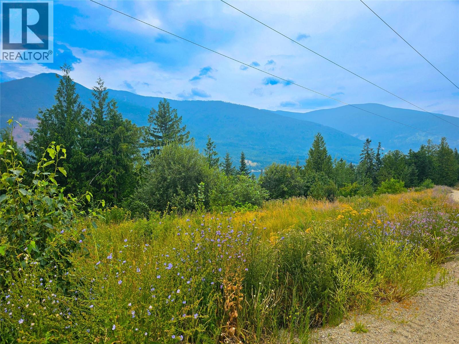 421 MOUNTAIN VIEW Drive, Balfour