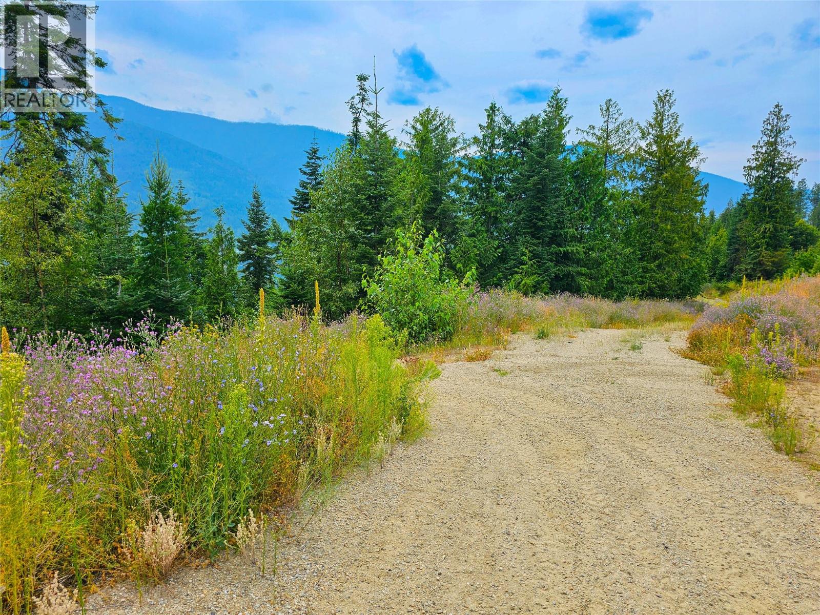 421 MOUNTAIN VIEW Drive, Balfour