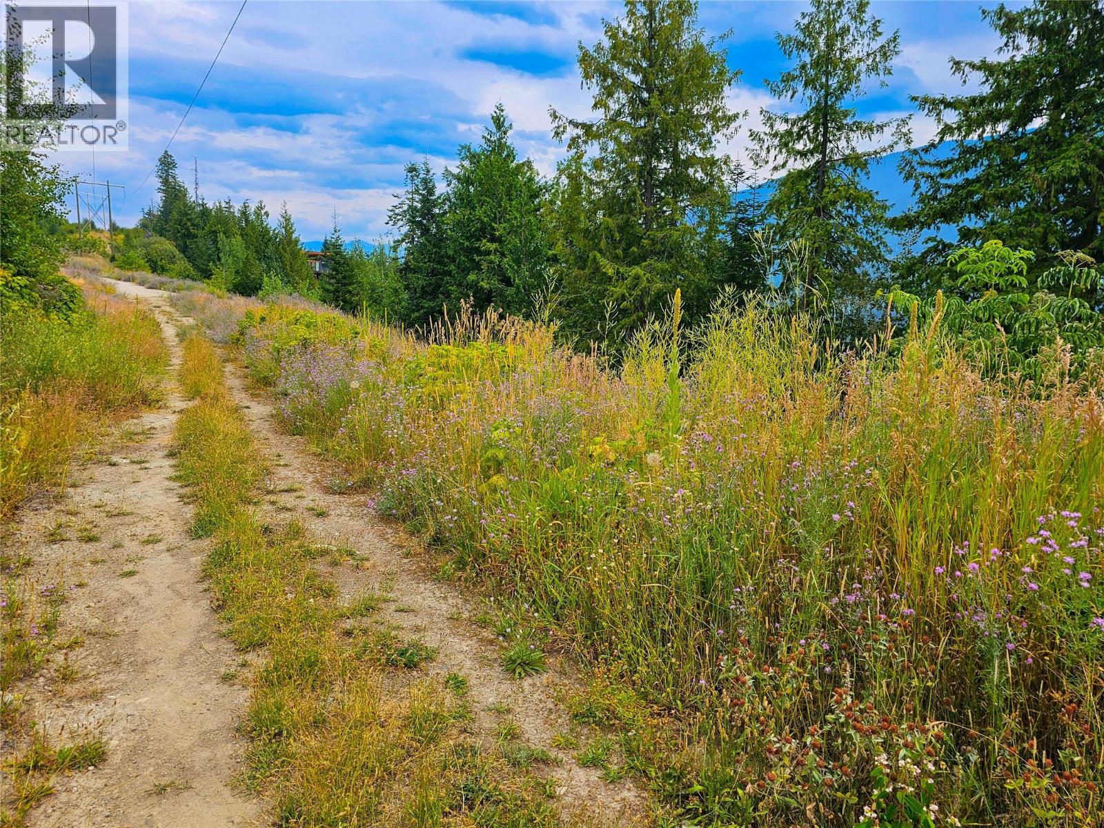 421 MOUNTAIN VIEW Drive, Balfour