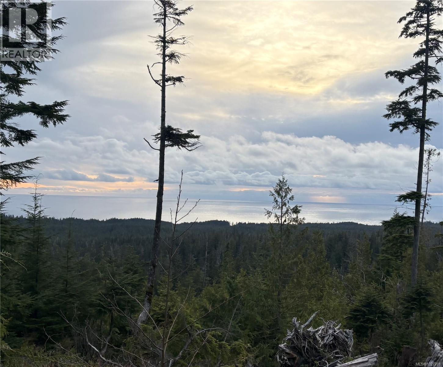 0 Michigan Main Road - main photo