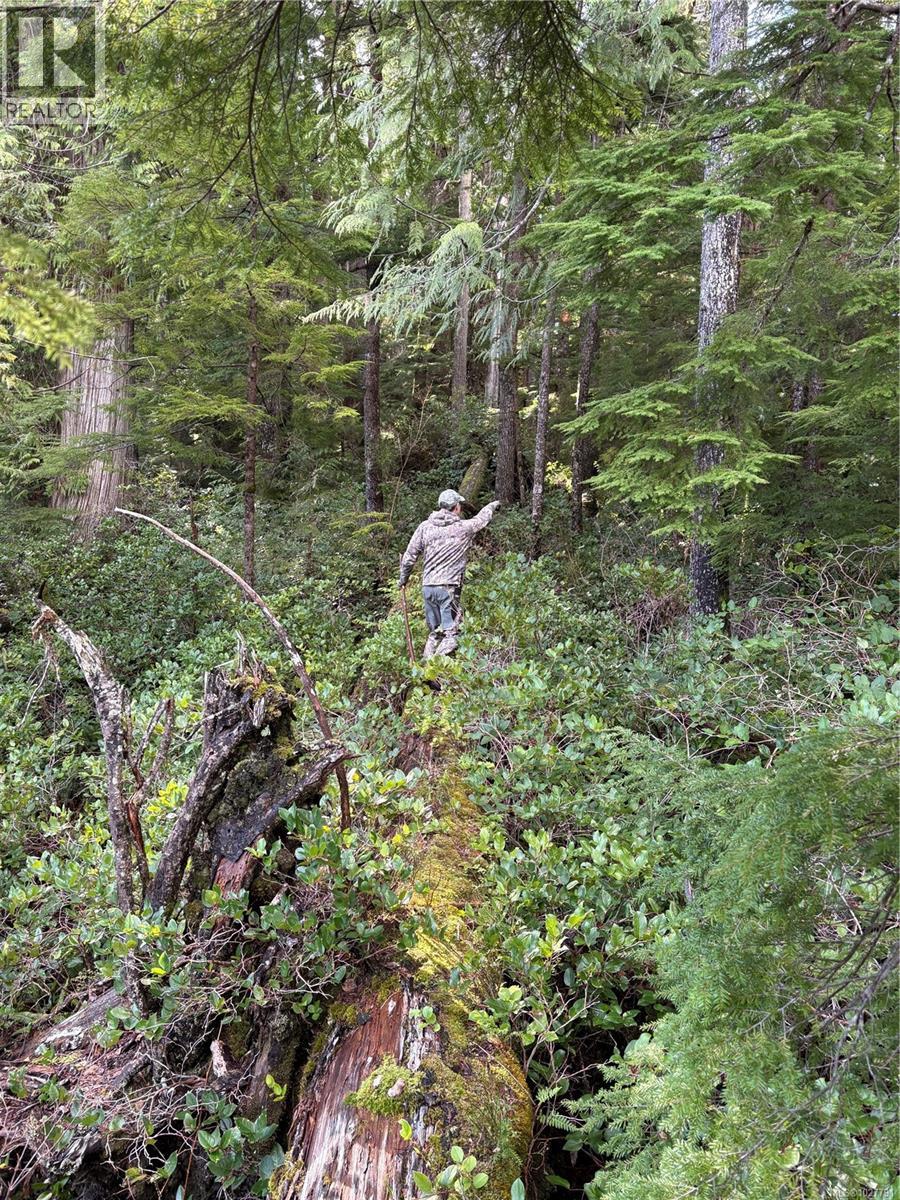 0 Michigan Main Rd, Bamfield