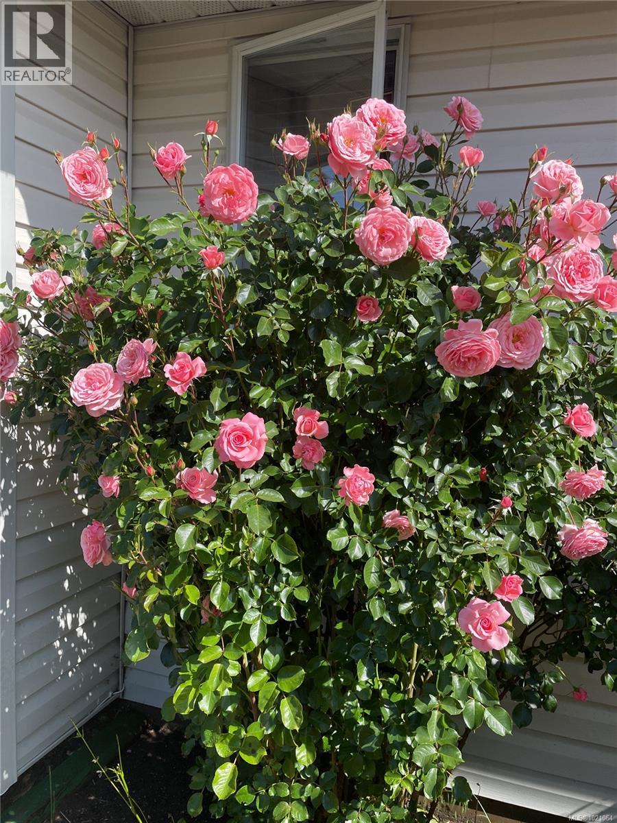 749 MARCHMONT RD - 32