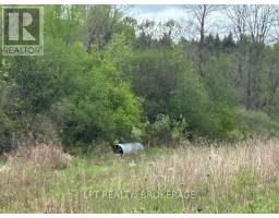 4374 Lords Mills Road, Augusta, ON K0E1T0 Photo 7
