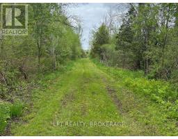 4374 Lords Mills Road, Augusta, ON K0E1T0 Photo 8