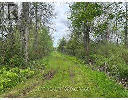 4374 Lords Mills Road, Augusta, ON K0E1T0 Photo 9