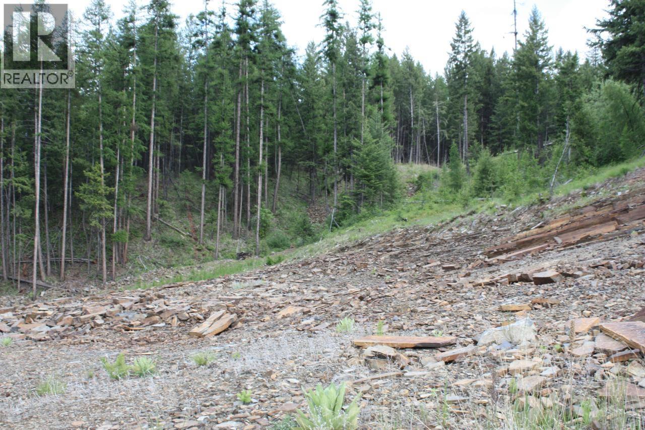  ML 1027410 FASSIFERN FS Road, Cranbrook