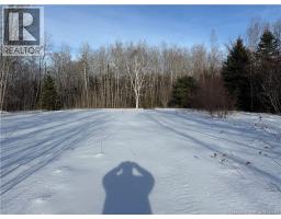 Land Route 114, Stoney Creek, NB E4H4S4 Photo 6