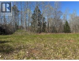 Land Route 114, Stoney Creek, NB E4H4S4 Photo 8