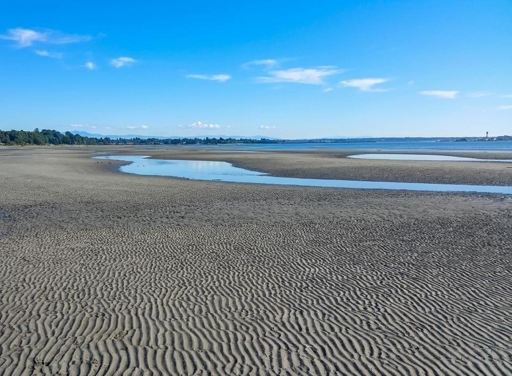 303 15165 MARINE DRIVE, White Rock