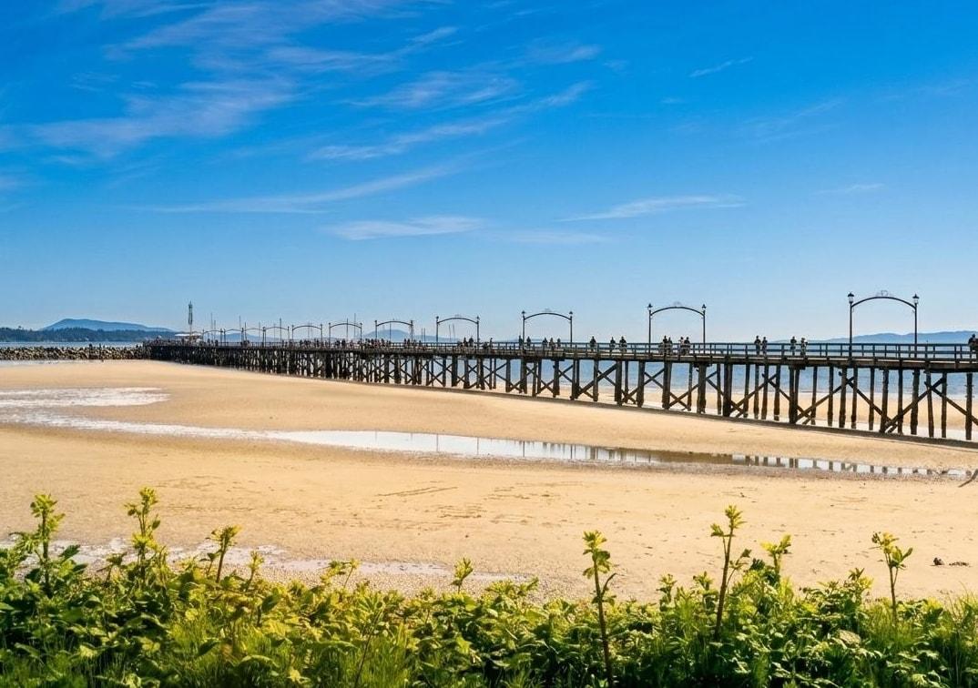 303 15165 MARINE DRIVE, White Rock