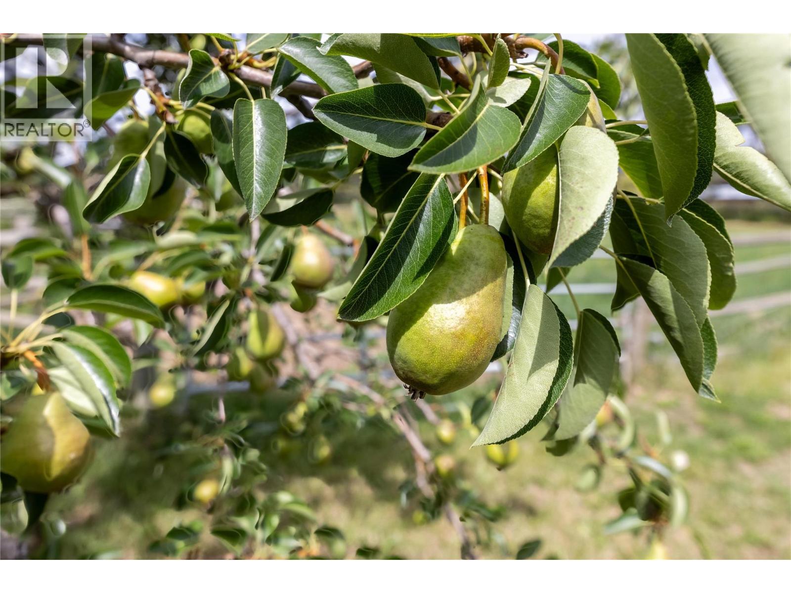  4780 Sleepy Hollow Road, Spallumcheen