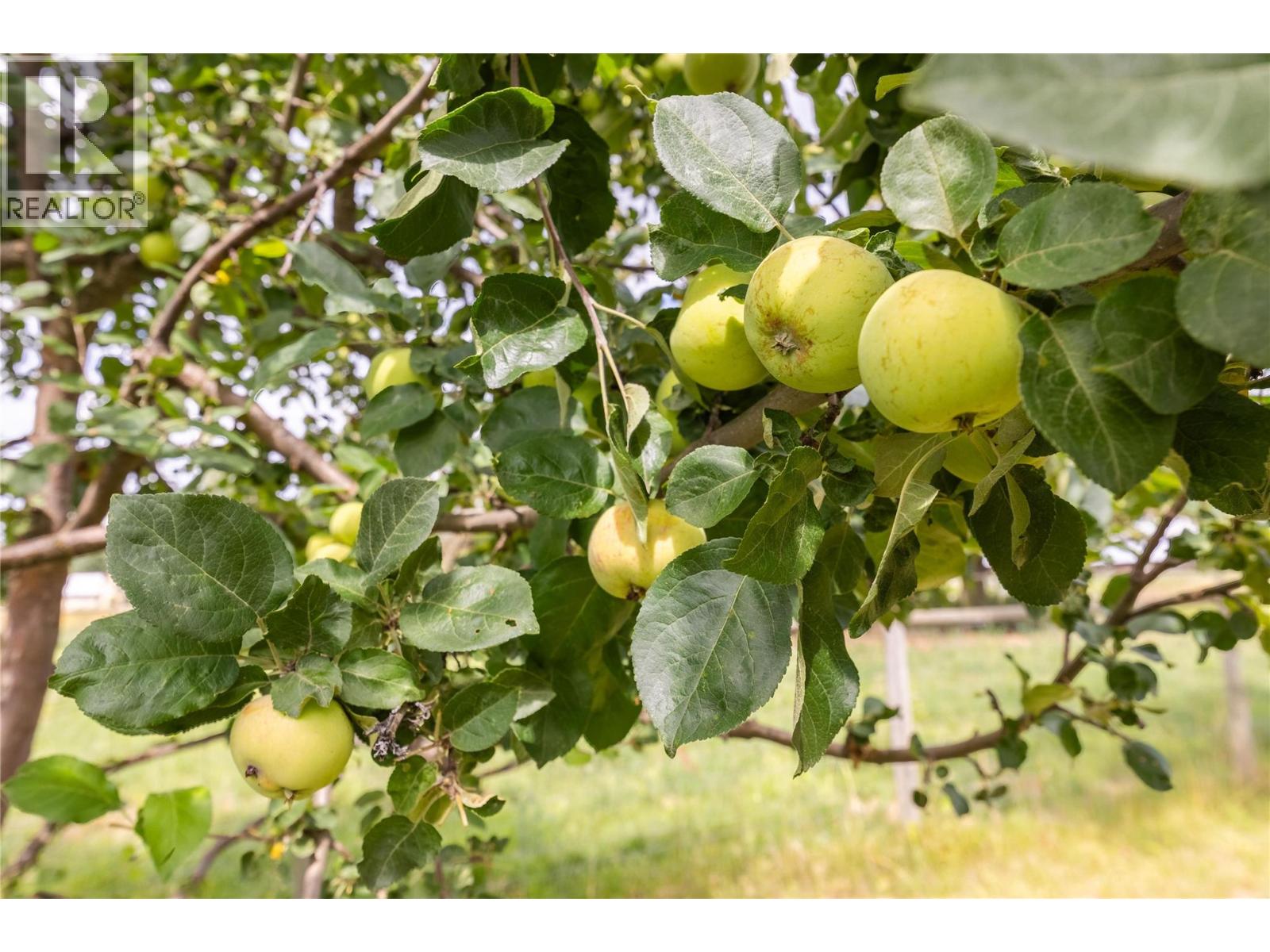  4780 Sleepy Hollow Road, Spallumcheen