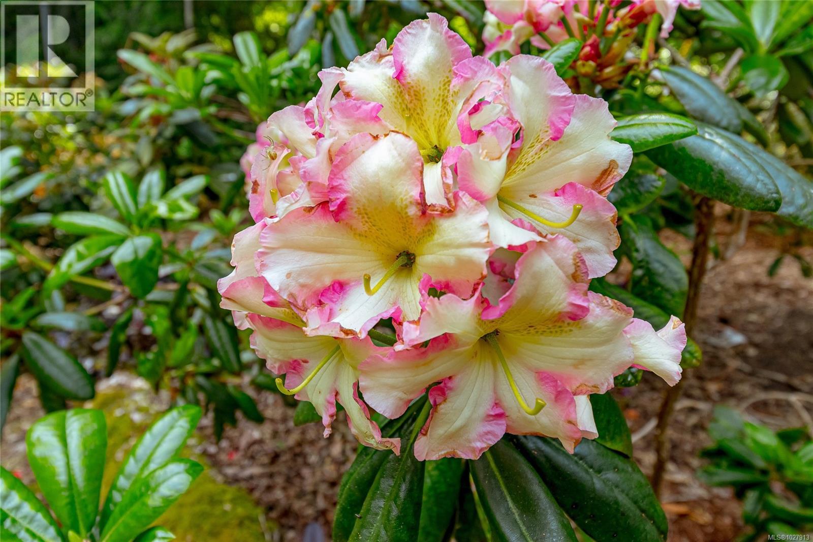 1425 Todd Lane, Metchosin