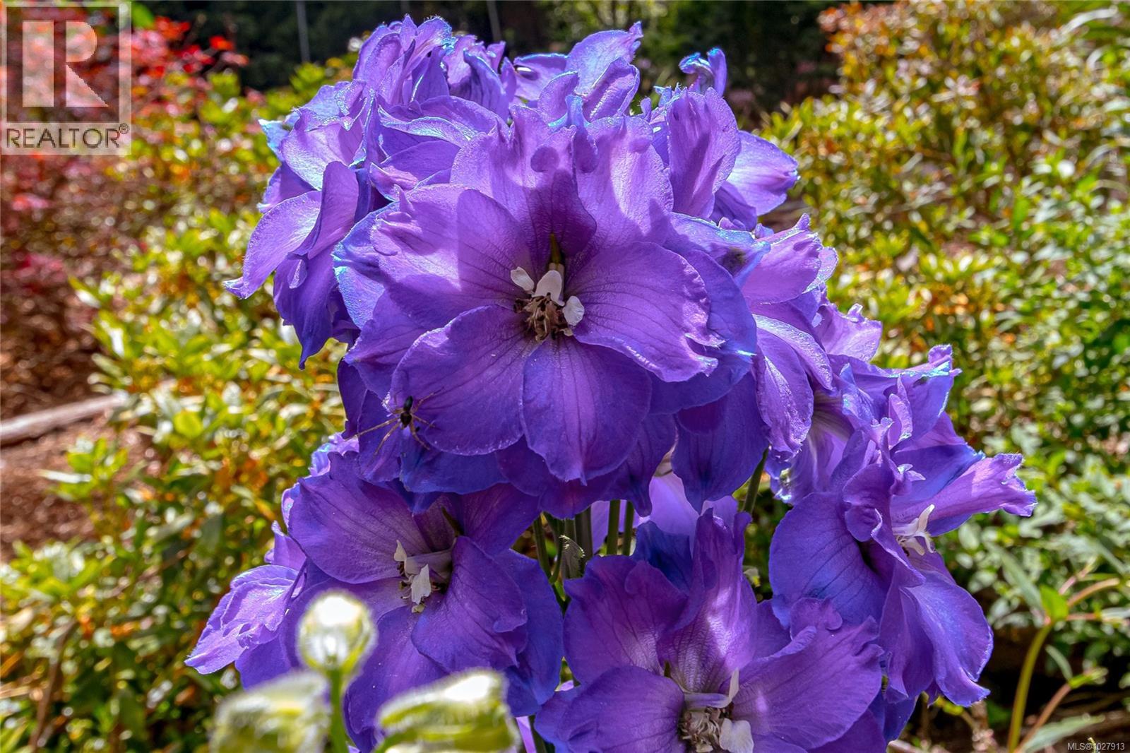 1425 Todd Lane - 54