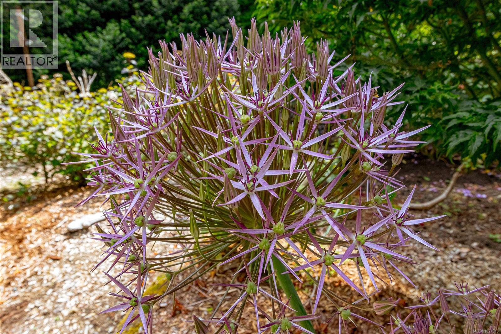 1425 Todd Lane, Metchosin