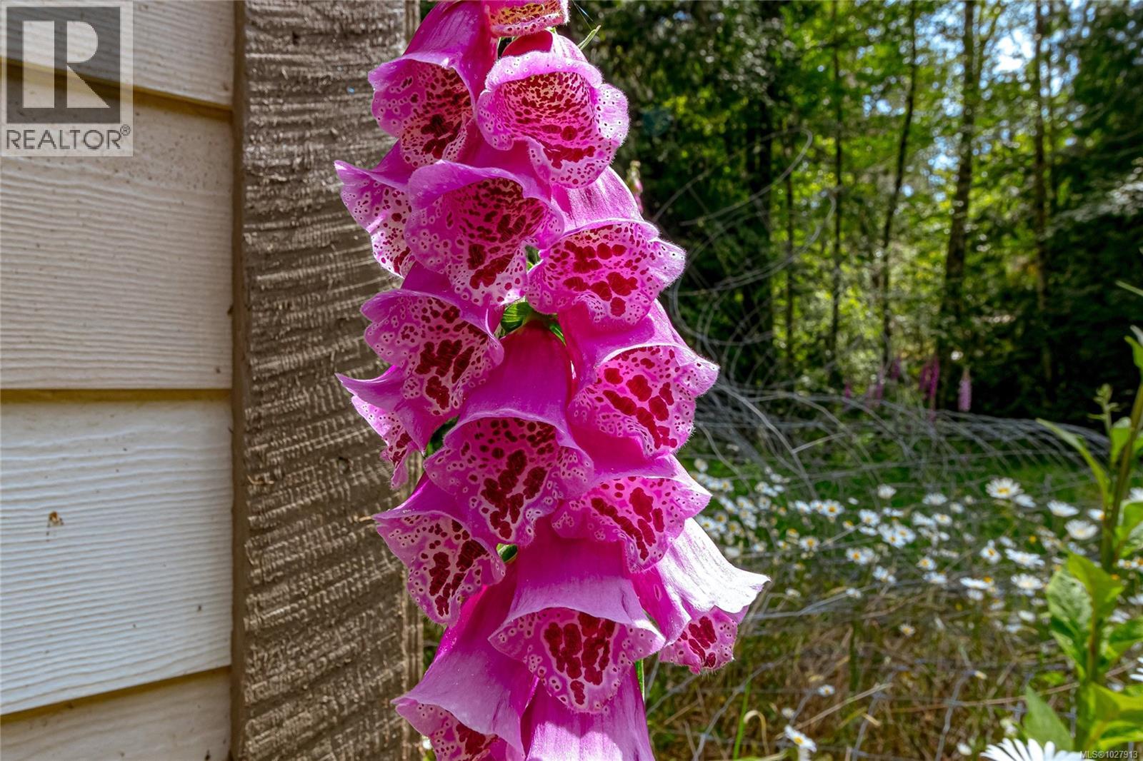 1425 Todd Lane, Metchosin