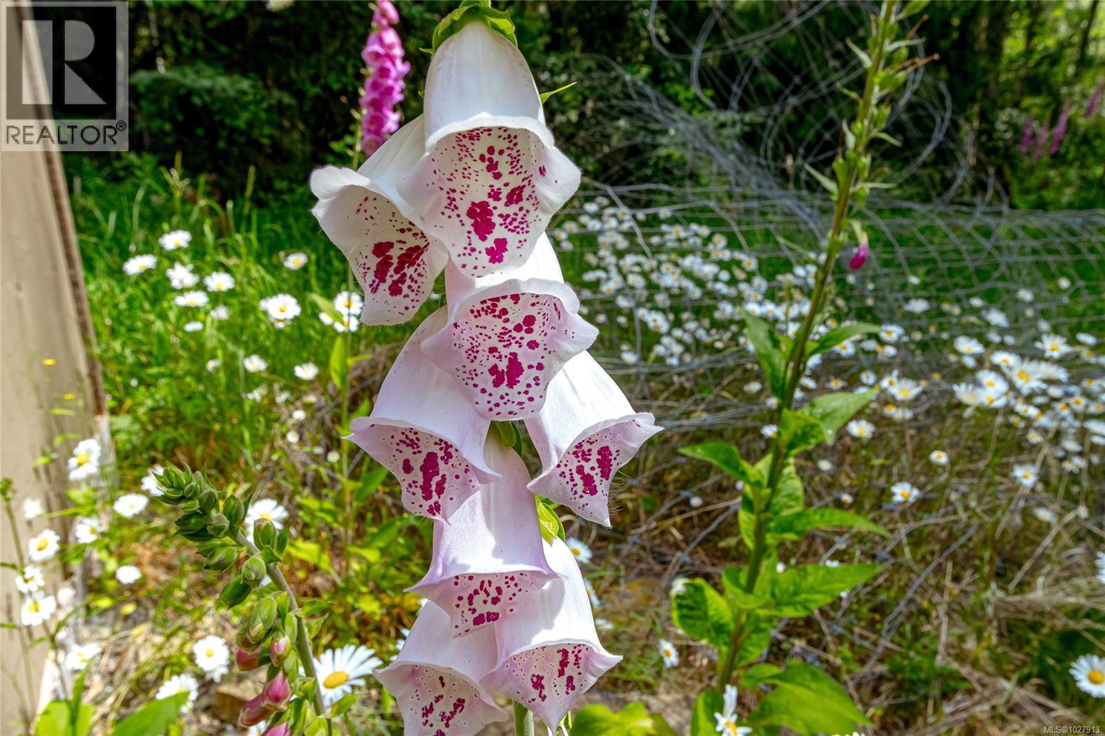 1425 Todd Lane, Metchosin