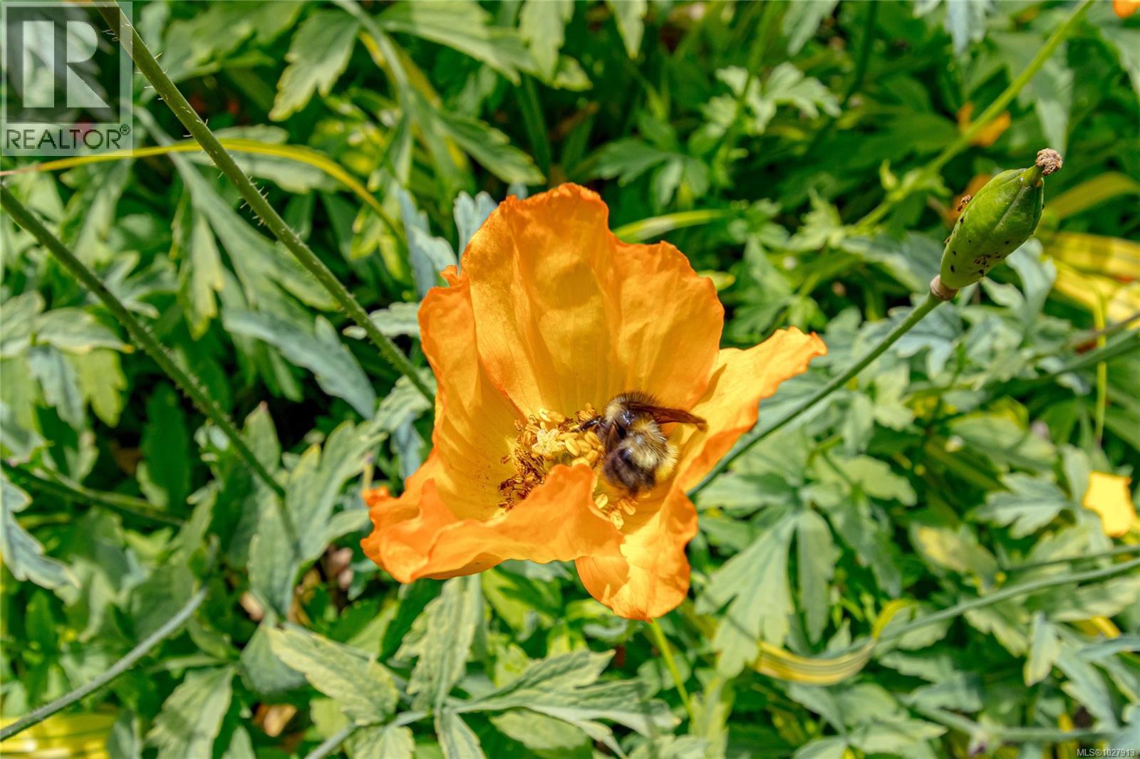 1425 Todd Lane, Metchosin